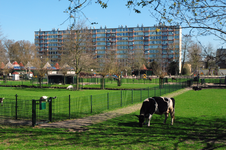 814769 Gezicht op de kinderboerderij in het Park De Gagel te Utrecht, met op de achtergrond het flatgebouw aan de ...